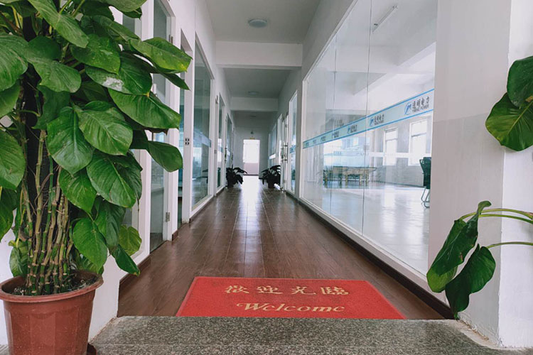 公司环境