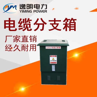 10kv电缆分支箱